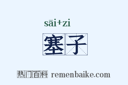塞子是什么意思的图片